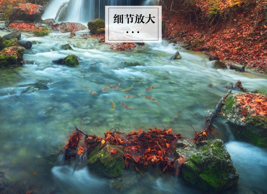 万词王