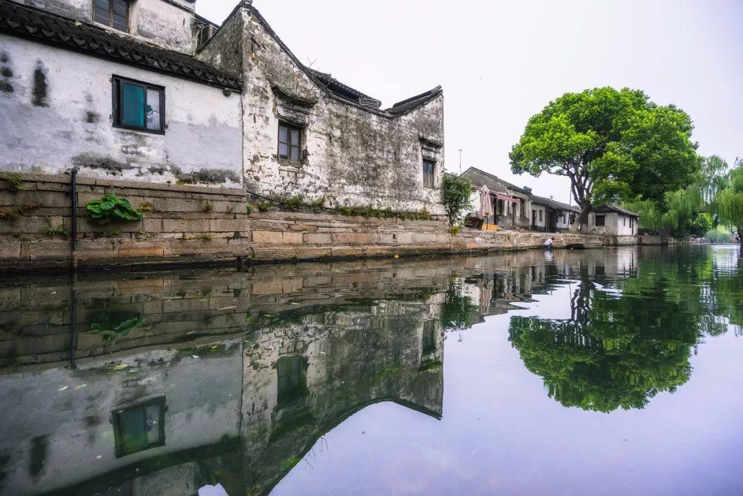 春雨直播app
